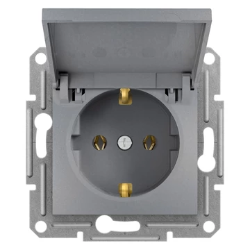 SCHNEIDER ELECTRIC ASFORA 2P+F csatlakozóaljzat, csapfedeles, csavaros, acél (EPH3100162)