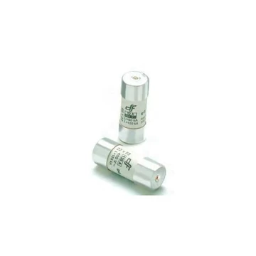 df Electric Hengeres biztosító 22x58 aM 100A (442000)