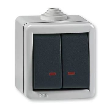 Aling-Conel ARMOR - 105 kétáramkörös kapcsoló, jelzőfényes, 10A 250V, IP55, IK07, FÉM házban, szürke/antracit (2821.1A)