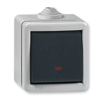 Aling-Conel ARMOR - 106 alternatív (váltó) kapcsoló, jelzőfényes, 10A 250V, IP55, IK07, FÉM házban, szürke/antracit (2831.1A)