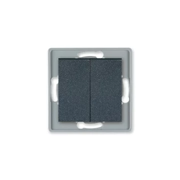 Aling-Conel PRESTIGE - 105 kétáramkörös kapcsoló, 10A 250V, keret nélkül, grafit (6006.2)