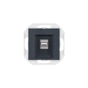 Aling-Conel PRESTIGE - 1xUSB csatlakozó aljzat, 2.0 szabvány (nem töltő), Keystone, keret nélkül, grafit (60162.2)