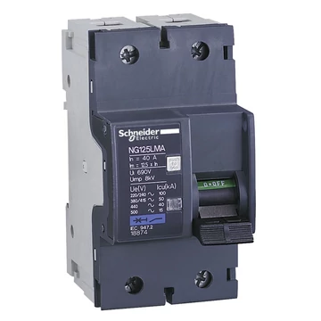 SCHNEIDER ELECTRIC NG125L kismegszakító, 2P, MA, 63A (18875)