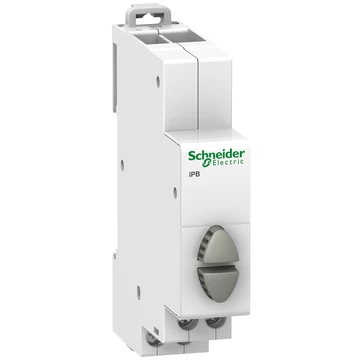 SCHNEIDER ELECTRIC ACTI9 iPB dupla nyomógomb, 2NO, szürke-szürke (A9E18035)