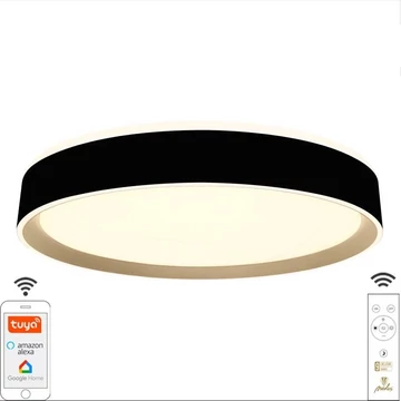 NEDES LED mennyezeti lámpa OPÁL + távvezérlő + Wifi 48W - LC902MB