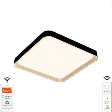 NEDES LED mennyezeti lámpa OPÁL + távvezérlő + Wifi 48W - LC902MB/S