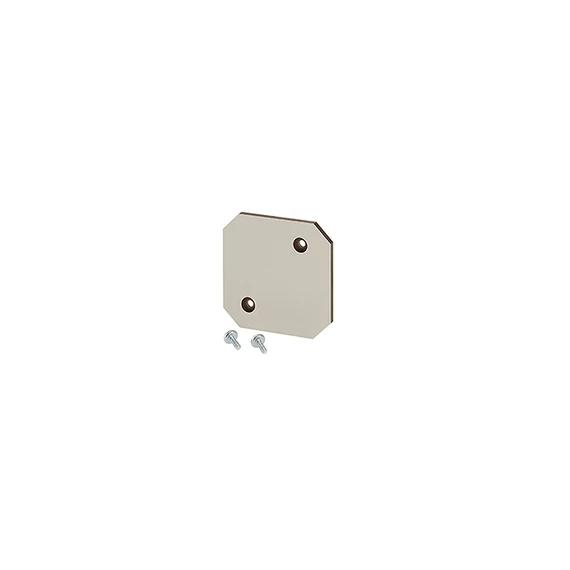 HENSEL EB MP 02 Szerelőlap EB 02… típusú üres tokozatokhoz (62000255)