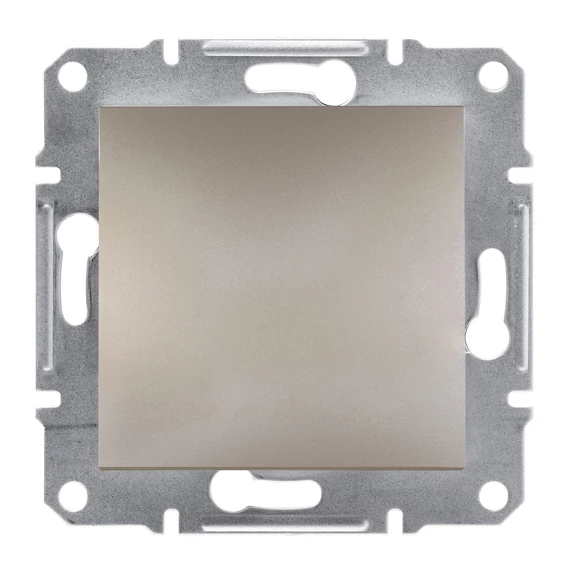 SCHNEIDER ELECTRIC ASFORA Vakfedél, bronz (EPH5600169)