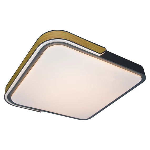RÁBALUX Arild beltéri mennyezeti lámpa LED 48W, 50x48cm (71146)