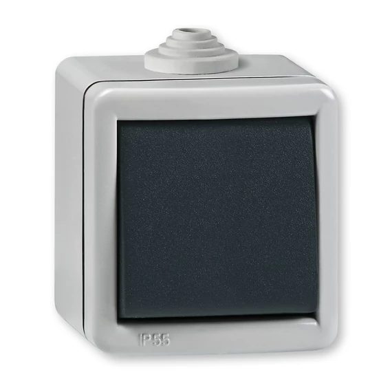 Aling-Conel ARMOR - 107 keresztváltó kapcsoló, 10A 250V, IP55, IK07, FÉM házban, szürke/antracit (284.1A)