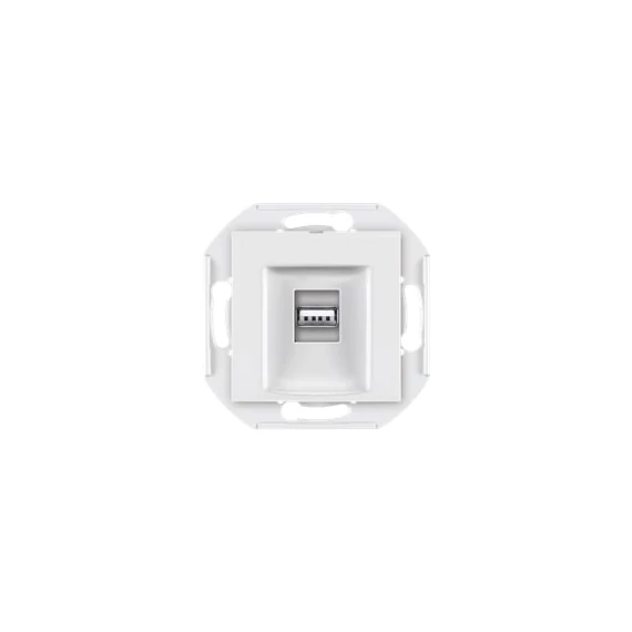 Aling-Conel PRESTIGE - 1xUSB csatlakozó aljzat, 2.0 szabvány (nem töltő), Keystone, keret nélkül, fehér (60162.0)
