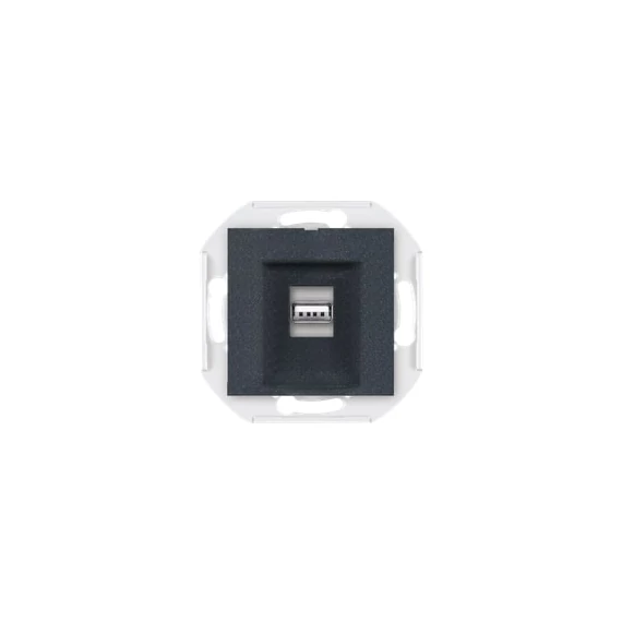 Aling-Conel PRESTIGE - 1xUSB csatlakozó aljzat, 2.0 szabvány (nem töltő), Keystone, keret nélkül, grafit (60162.2)