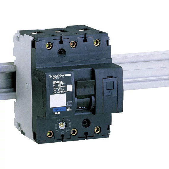 SCHNEIDER ELECTRIC NG125L kismegszakító, 3P, D, 80A (18856)