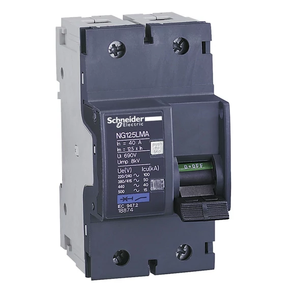 SCHNEIDER ELECTRIC NG125L kismegszakító, 2P, MA, 63A (18875)