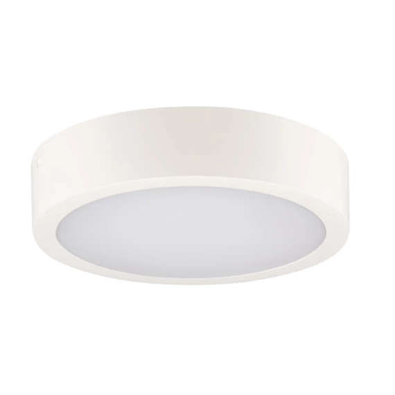 KANLUX DABER 12-20W CCT SE W Mennyezeti LED lámpa, mikroh.mozgásé., 12/20W, 3000/3500/4000K, max 2500 / 2530 / 2630lm, Ø301x60mm, IP66, fehér (39025)