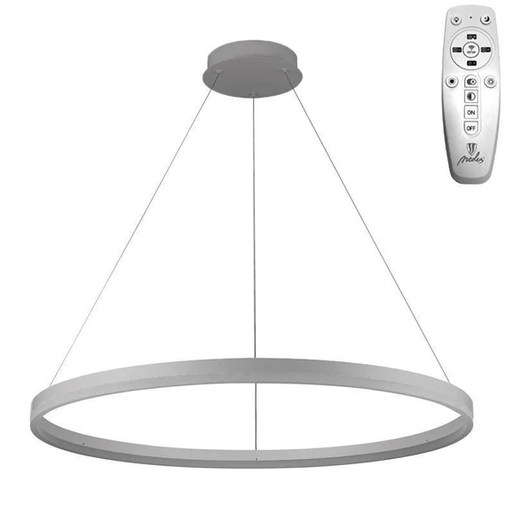 NEDES Dizájn lámpa, LED világítás + vezérlés 55W - J4309/S