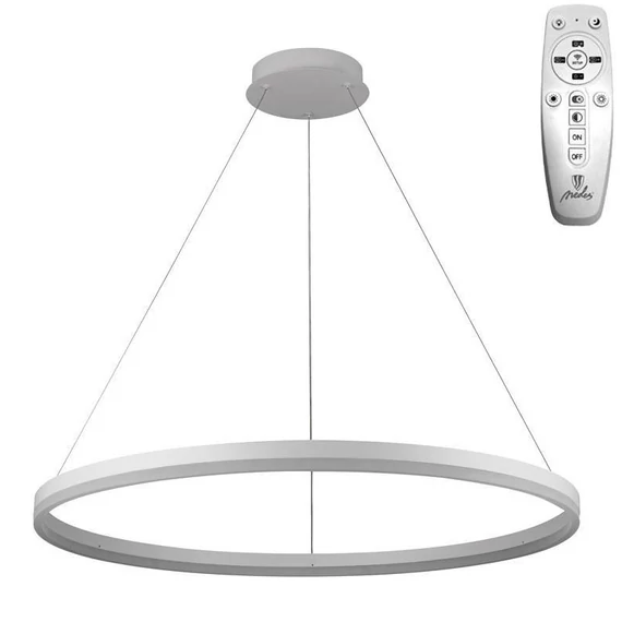 NEDES Dizájn lámpa, LED világítás + vezérlés 55W - J4309/W