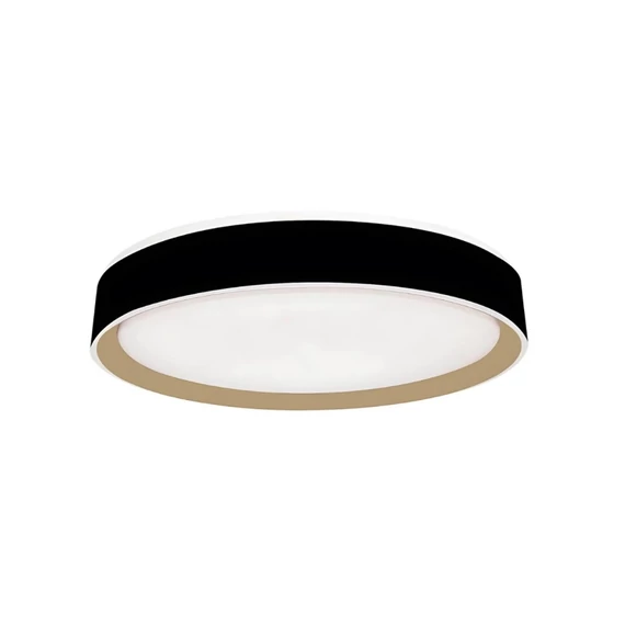 NEDES LED mennyezeti lámpa OPÁL + távvezérlő + HANGVEZÉRLÉS 48W - LC902MBV